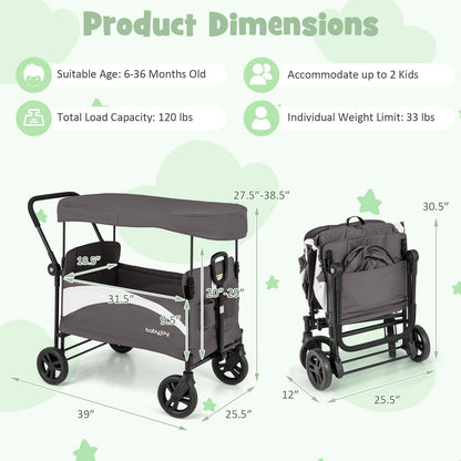 2-Seat Stroller Wagon with Adjustable Canopy and Handles